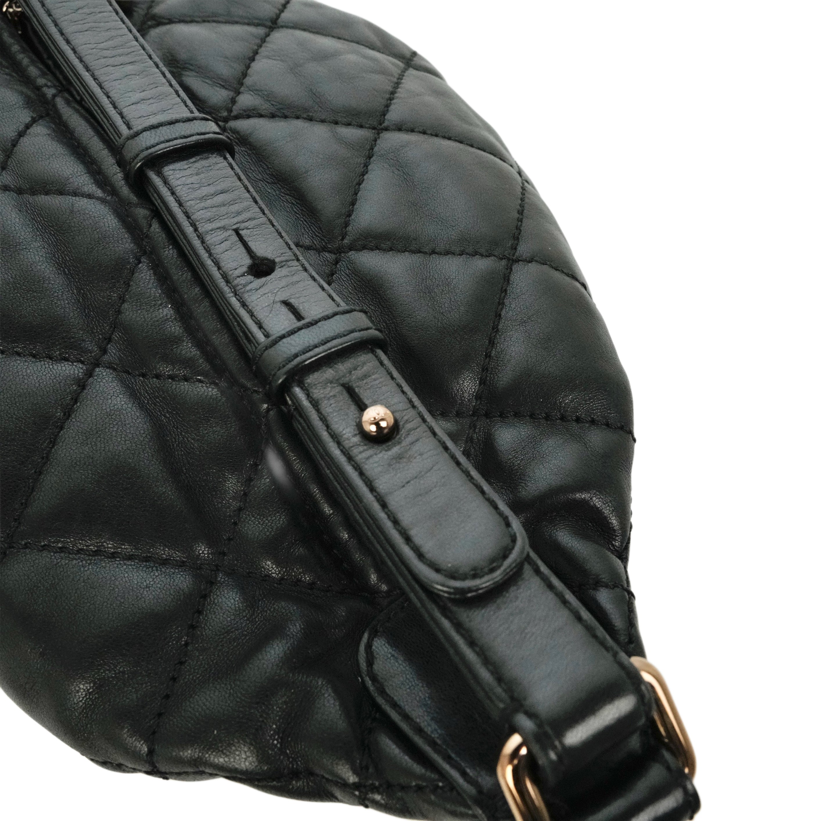 CHANEL 2005-2006 Coco Mark Wild Stitch Lambskin Shoulder Bag