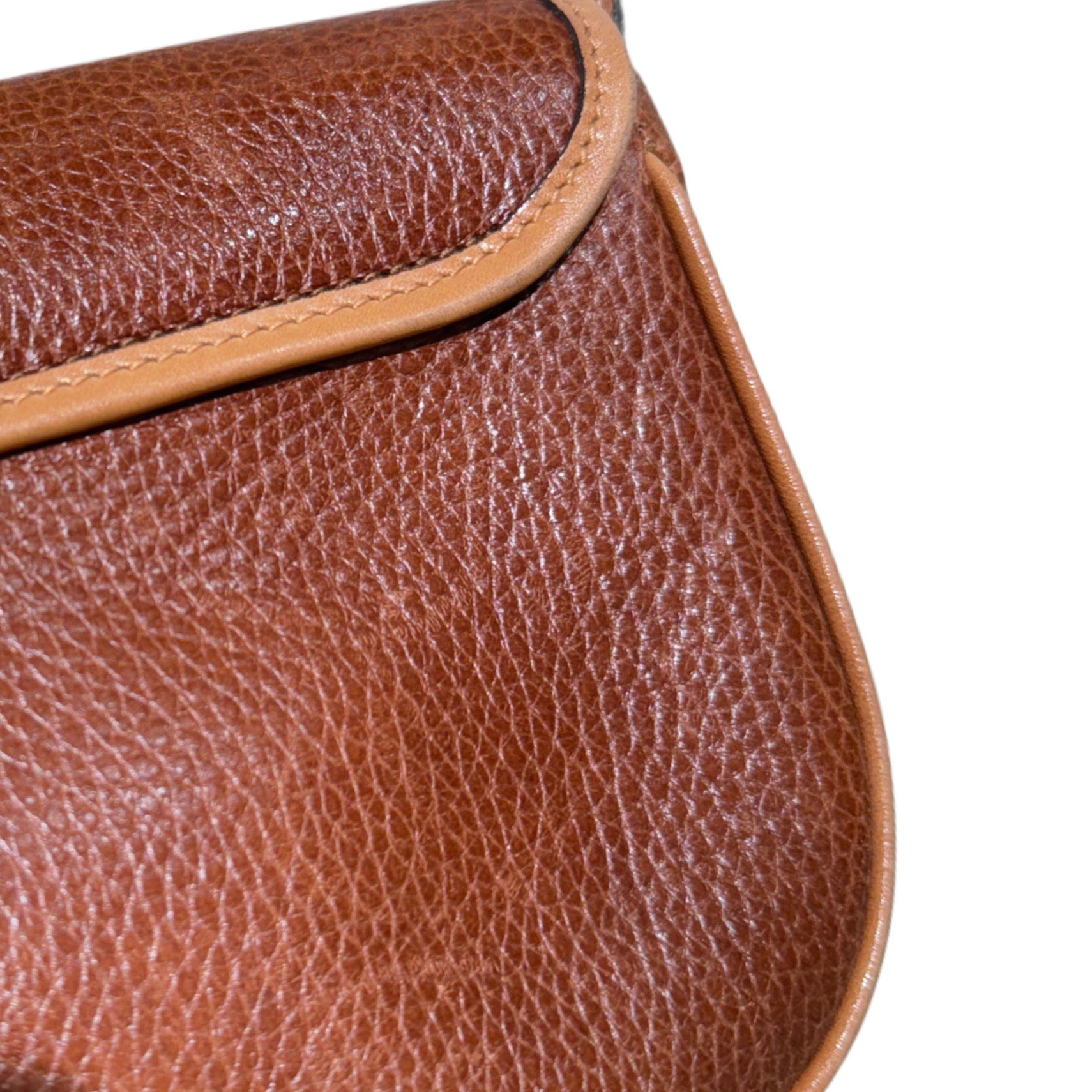 CELINE Triomphe Canvas Shoulder Bag