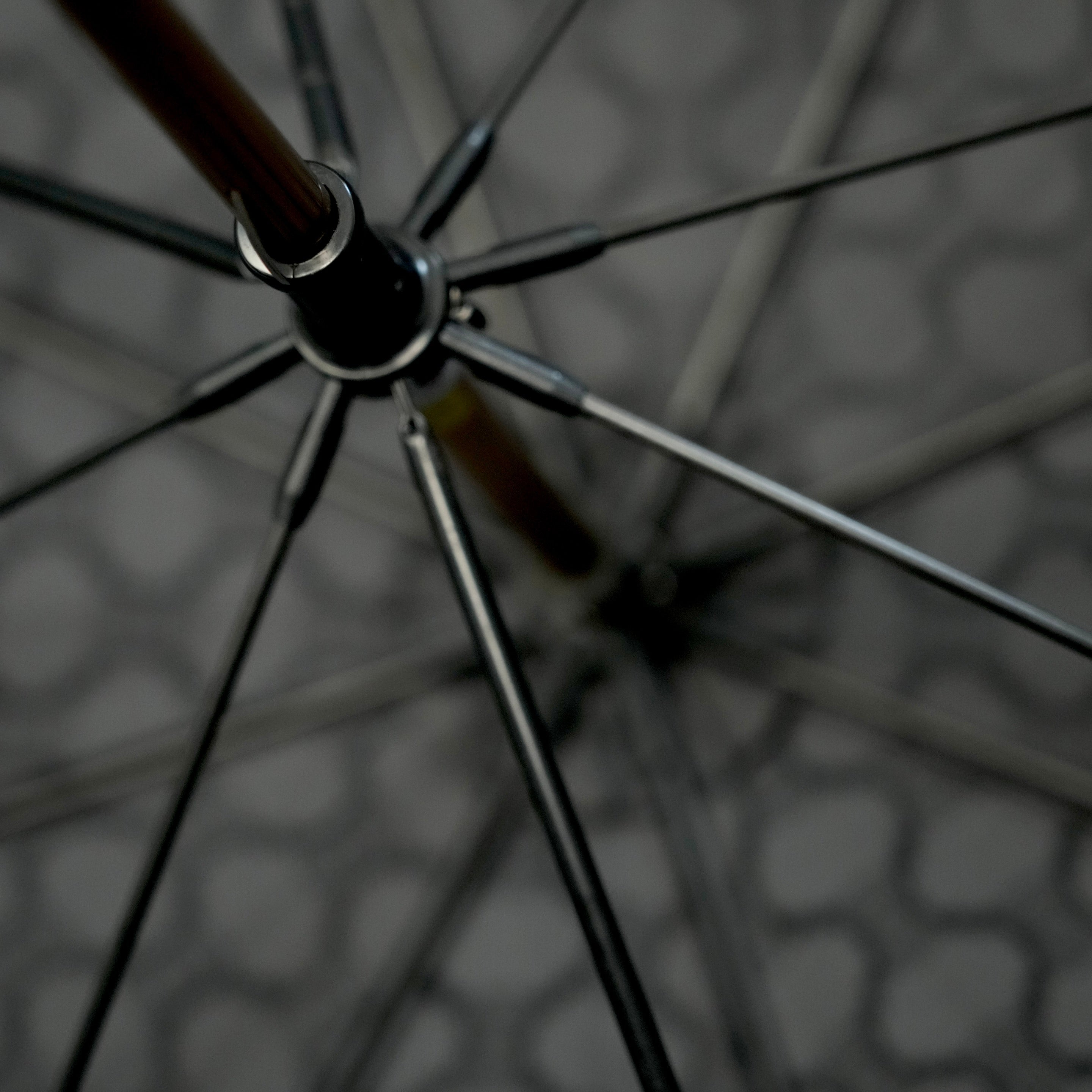 CELINE Macadam Umbrella